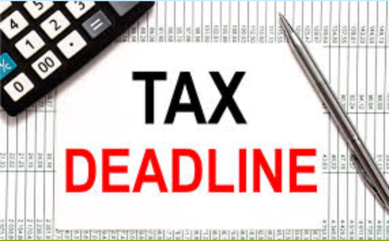 Income Tax Filing & Compliance