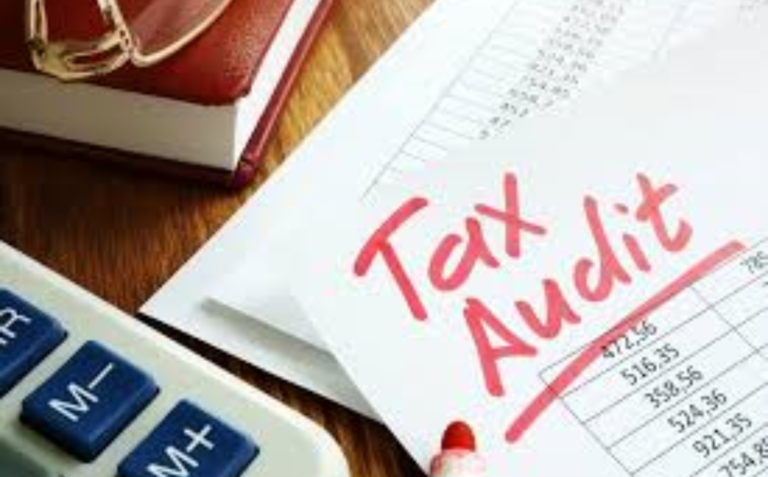 Tax Audits